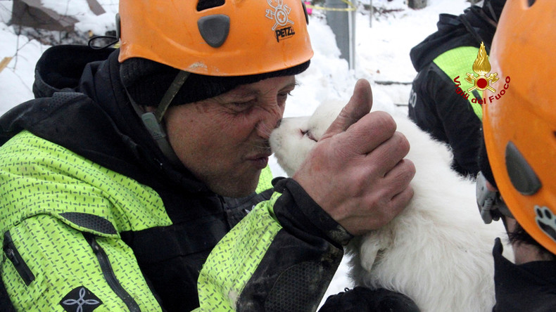 Italie : trois chiots sauvés par miracle des décombres de l’hôtel détruit par une avalanche (VIDEO)