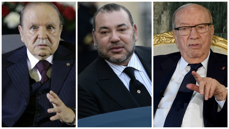 Bourde diplomatique ? Quand un député déclare que les dirigeants du Maghreb sont «malades»