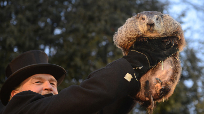 Jour de la marmotte aux Etats-Unis : qu’a prévu le rongeur pour la météo ? (VIDEO)