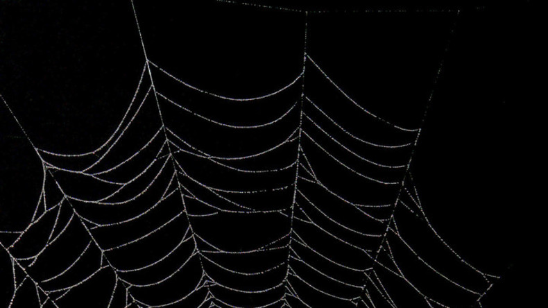 Le Darknet piraté : 20% du réseau rendu inaccessible