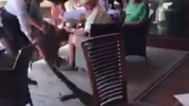 Australie : à mains nues, une serveuse française chasse un varan de son restaurant (VIDEO)