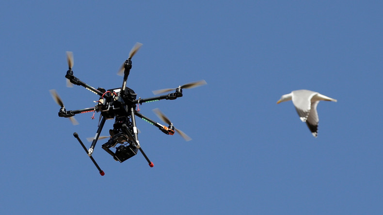 La France décide d'armer ses drones de renseignement et de surveillance