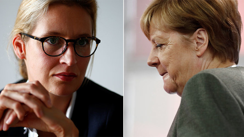 Des «porcs», «des marionnettes» : Angela Merkel et son gouvernement insultés dans un email de l'AfD