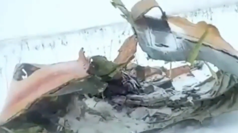 Premières images de l'épave de l'avion russe qui s'est écrasé près de Moscou (VIDEO)