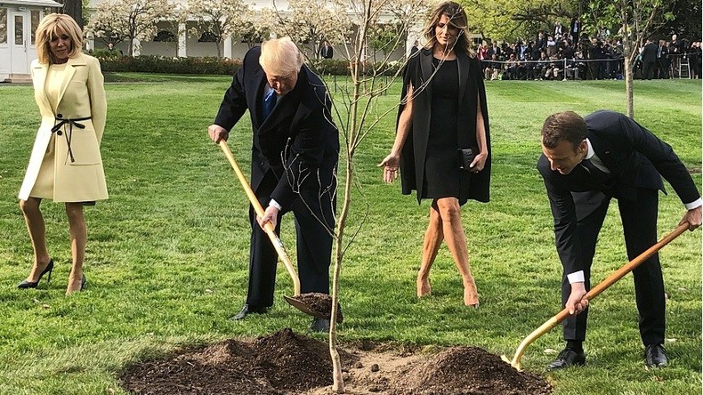 Mauvais présage ? L'arbre de l'amitié planté par Macron et Trump a déjà disparu... (IMAGES)