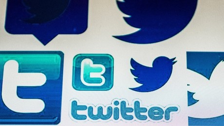 Logo de Twitter (Illustration)