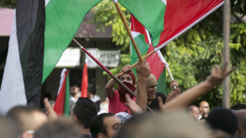 Rencontre avec ces Israëliens pro-palestiniens