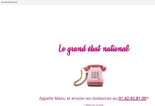 Le site du grand débat national plusieurs fois parodié