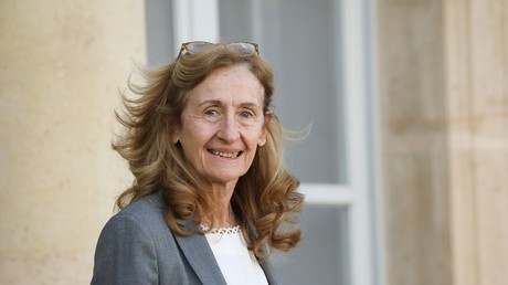 Le ministre de la justice, Nicole Belloubet, devant l'Elysée le 30 janvier 2019 (image d'illustration).