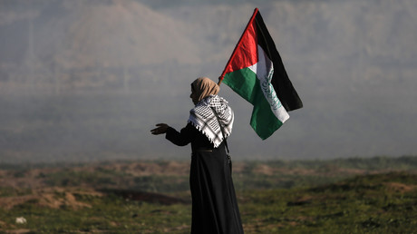 Une femme palestinienne porte un drapeau national lors d'une manifestation le long de la frontière avec Israël à l'est de la ville de Gaza, le 25 janvier 2019. 