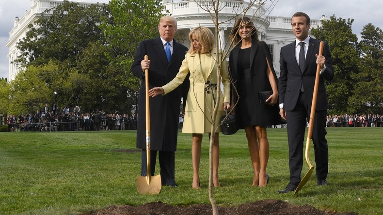 Sombre allégorie ? Le chêne de l'amitié franco-américaine planté par Macron et Trump est mort