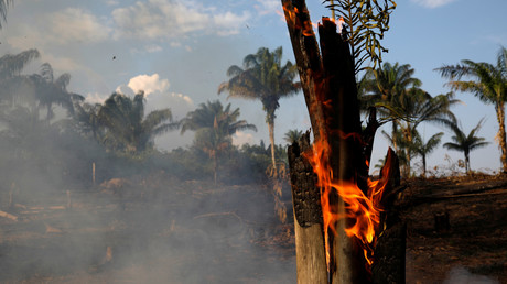 Une forêt brûle dans l'Etat d'Amazonas au Brésil, le 20 août 2019.