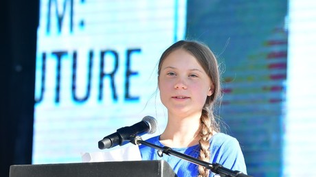 Greta Thunberg lors d'une marche pour le climat à Los Angeles, le 1er novembre 2019, aux Etats-Unis (image d'illustration).