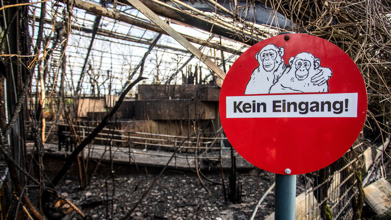 Allemagne : des dizaines de singes tués dans l'incendie d'un zoo