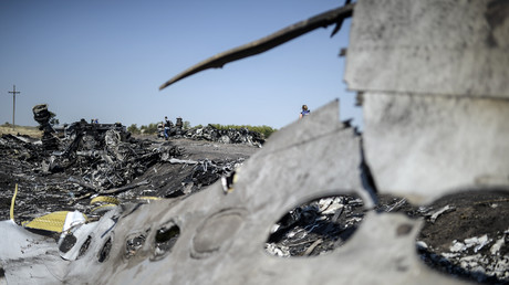 Photo prise en août 2014 sur le site du crash de l'avion du vol MH17 en Ukraine (image d'illustration).