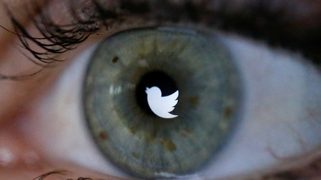 Le reflet du logo de Twitter dans l'œil d'une utilisatrice (image d'illustration).