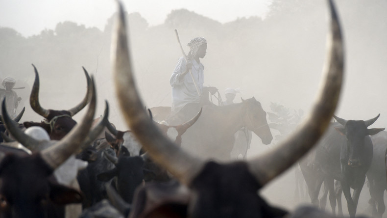 Tchad : des affrontements entre éleveurs et cultivateurs font 35 morts