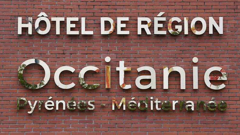 Des militants de l'Action française font irruption au conseil régional d'Occitanie