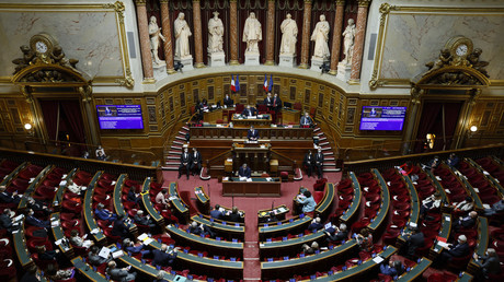 La salle du Sénat le 17 décembre 2020 (photo d'illustration).