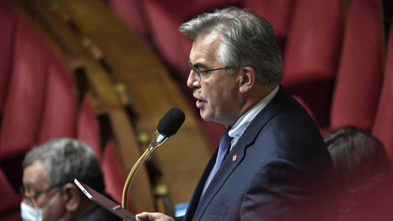 «On peut traiter un leader politique de chienne» selon un député LREM
