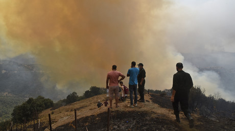 Des villageois se rassemblent devant de la fumée issue d'un feu de forêt, près de Tizi-Ouzou, le 12 août 2021 (image d'illustration)