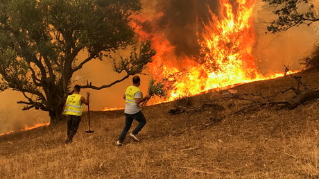 Des individus luttent contre un incendie à Iboudraren, dans les montagnes kabyles, le 12 août 2021 (image d'illustration).