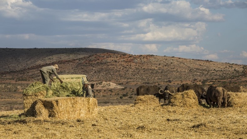 Afrique du Sud : l'expropriation des terres détenues par les Blancs rejetée par le Parlement