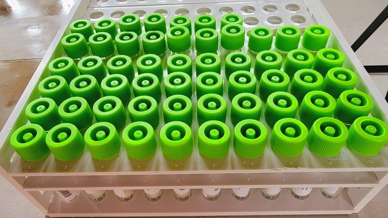 46 mutations : l'IHU de Raoult donne des détails sur le nouveau variant du Covid découvert en France