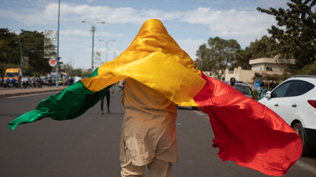 Un manifestant à Bamako, le 14 janvier.