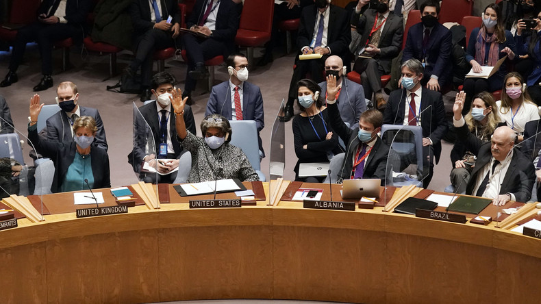 Le Conseil de sécurité de l'ONU