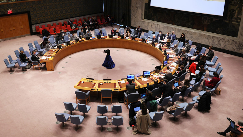 Le Conseil de sécurité de l'ONU, à New York