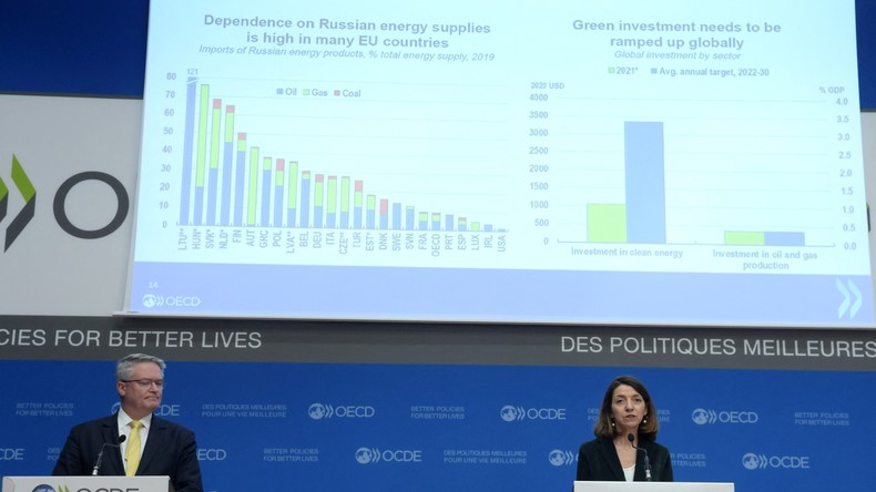 Ukraine : le conflit pourrait coûter jusqu'à un point et demi de croissance à l'Europe selon l'OCDE
