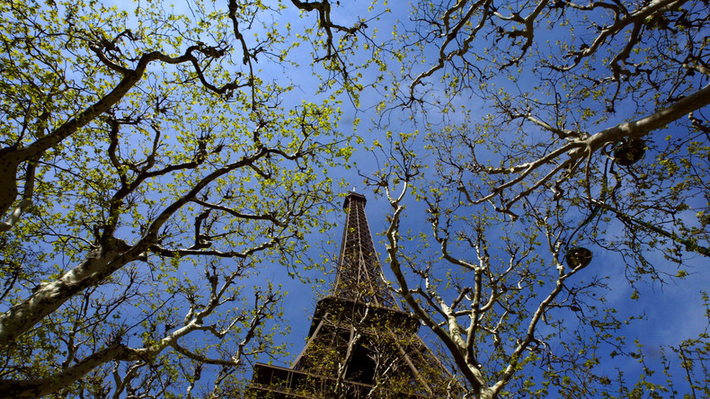 Paris : le projet de l'abattage d'arbres au pied de la tour Eiffel soulève un tollé