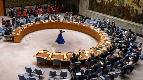 Un vote lors d'une réunion du Conseil de sécurité, le 25 février 2022 (image d'illustration).