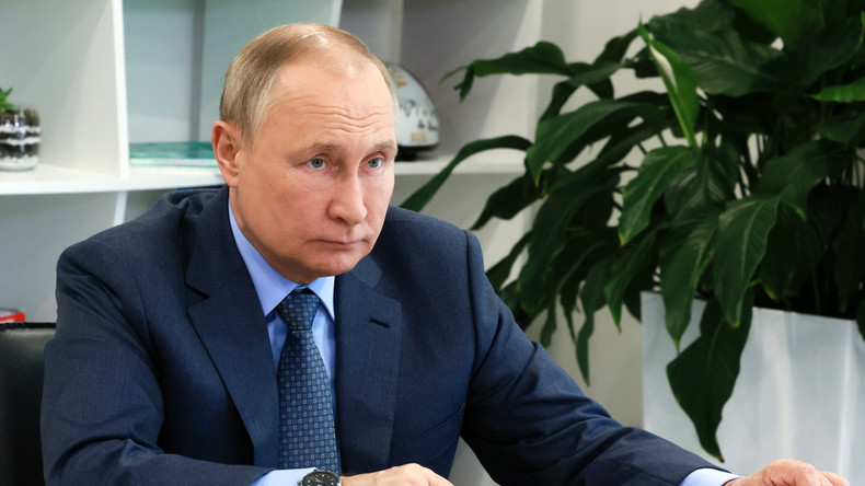 Le président russe Vladimir Poutine le 11 mai 2022 (image d'illustration).
