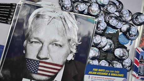 La Commissaire aux droits de l’Homme du Conseil de l’Europe appelle à ne pas extrader Assange La Commissaire aux droits de l’Homme du Conseil de l’Europe appelle à ne pas extrader Assange