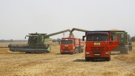 Les céréales ukrainiennes n'ont «aucun lien avec la crise alimentaire», juge Lavrov