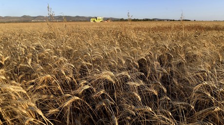 Crise alimentaire: Moscou rejette les accusations des Occidentaux, données de la FAO à l'appui