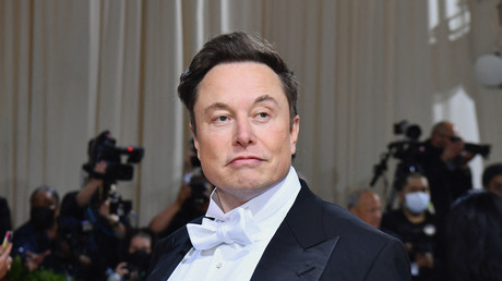 Le 2 mai 2022, Elon Musk au Metropolitan Museum of Art à New York (image d'illustration).