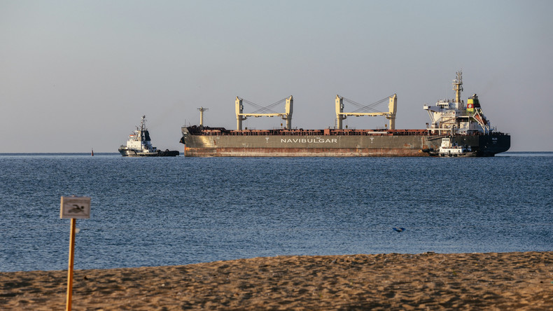 Trois nouveaux navires transportant des céréales ont quitté l'Ukraine