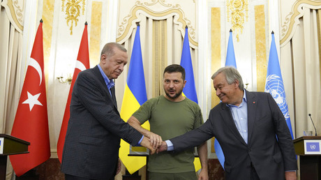Que retenir de la rencontre Erdogan-Zelensky-Guterres ? L’analyse d'un ancien rapporteur de l'ONU