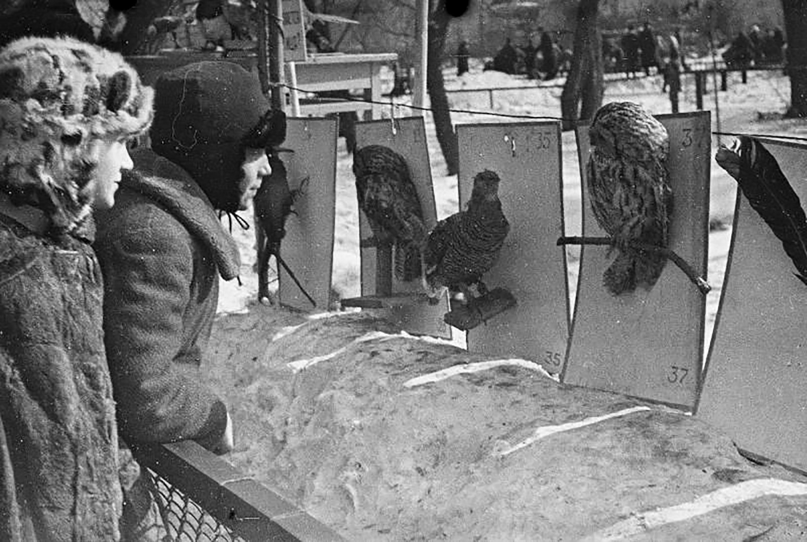 В зоопарка 1938 г.