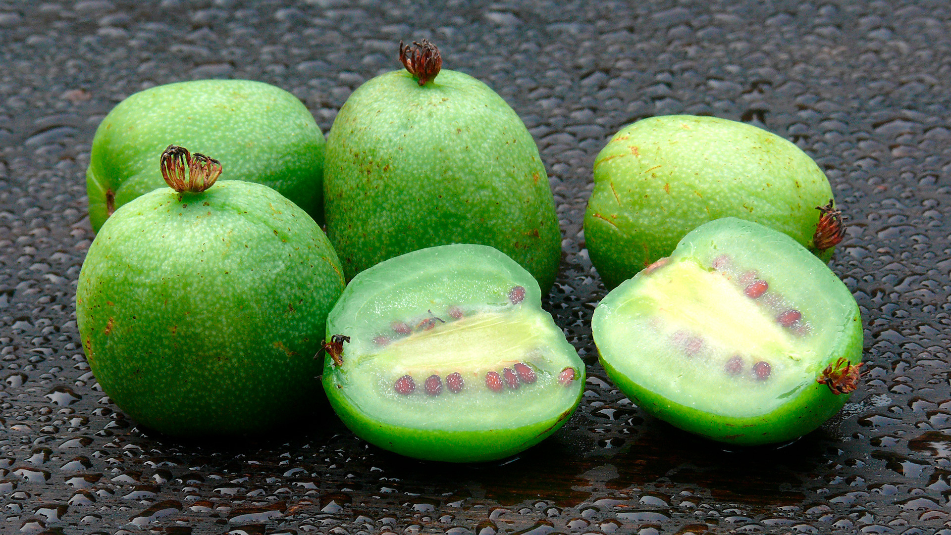 Actinidia looks like a small kiwi fruit.