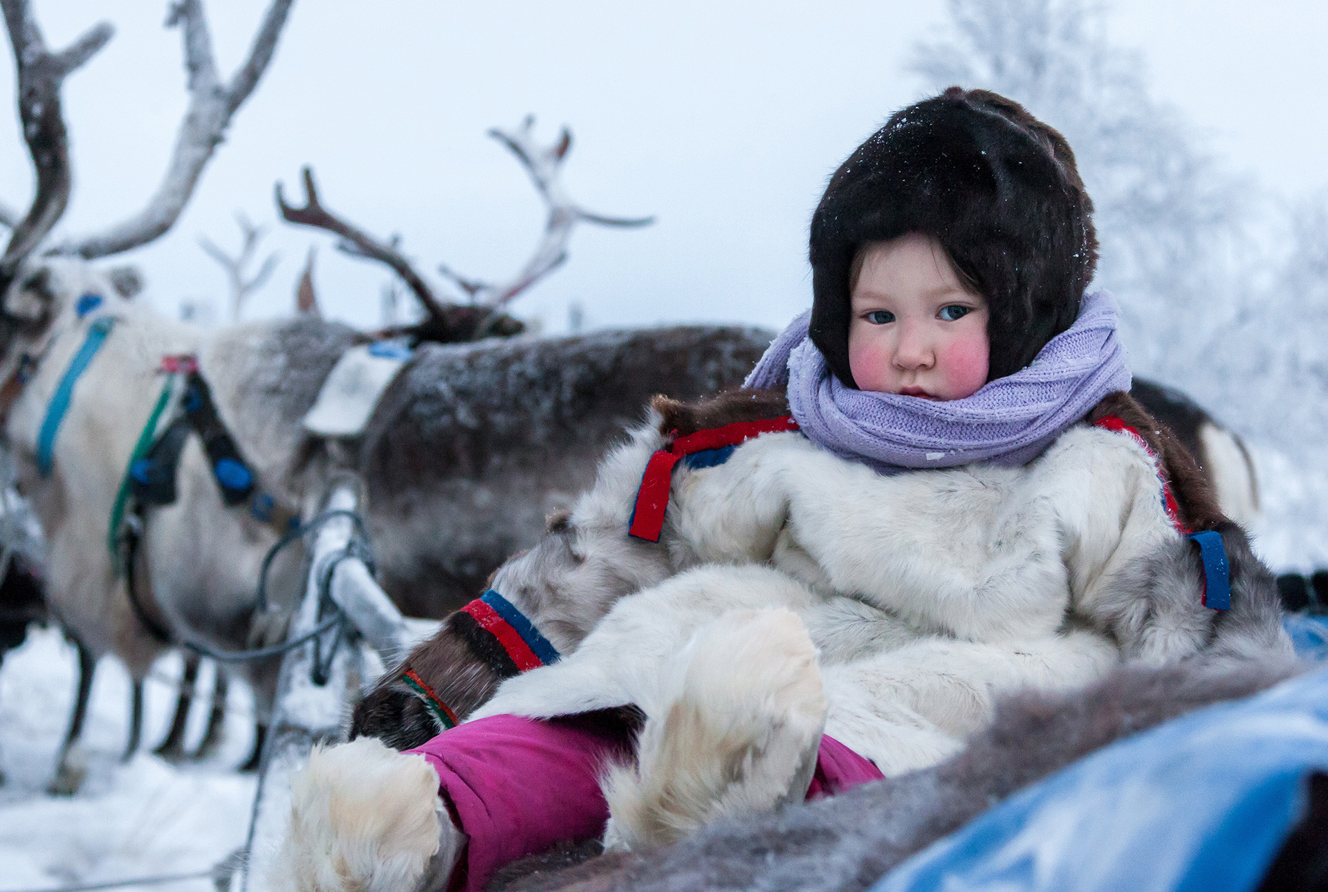 A child at the Kharp reindeer farm in the village of Krasnoye (Nenets Autonomous Region)