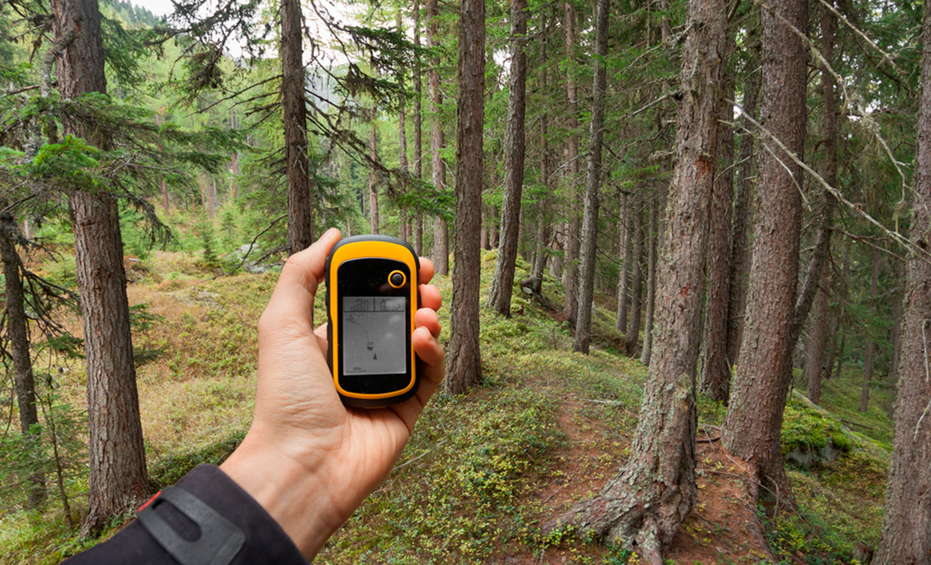 Pronalaženje pravog položaja u šumi pomoću GPS-a.