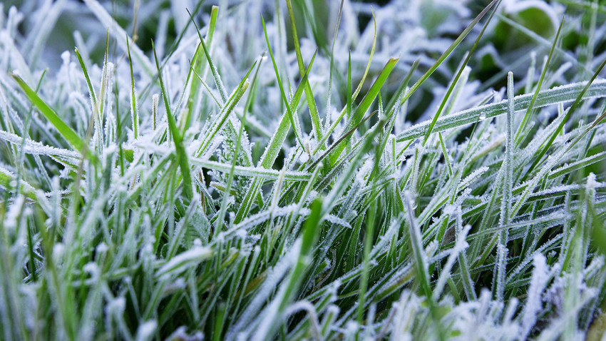 Hurra, der Winter ist da! Zeit zum Rasenmähen! Russia Beyond DE
