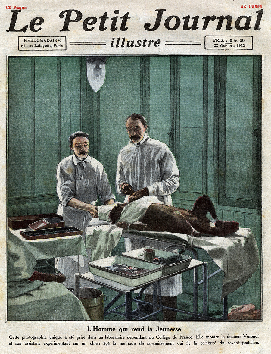 French surgeon of Russian extraction Serge Abrahamovitch Voronoff (1866-1951) and his assistant operating on an old dog, according to his method of rejuvenation by grafting, in a laboratory at the College de France, Frontpage of French newspaper Le Petit Journal Illustre, October 22, 1922.