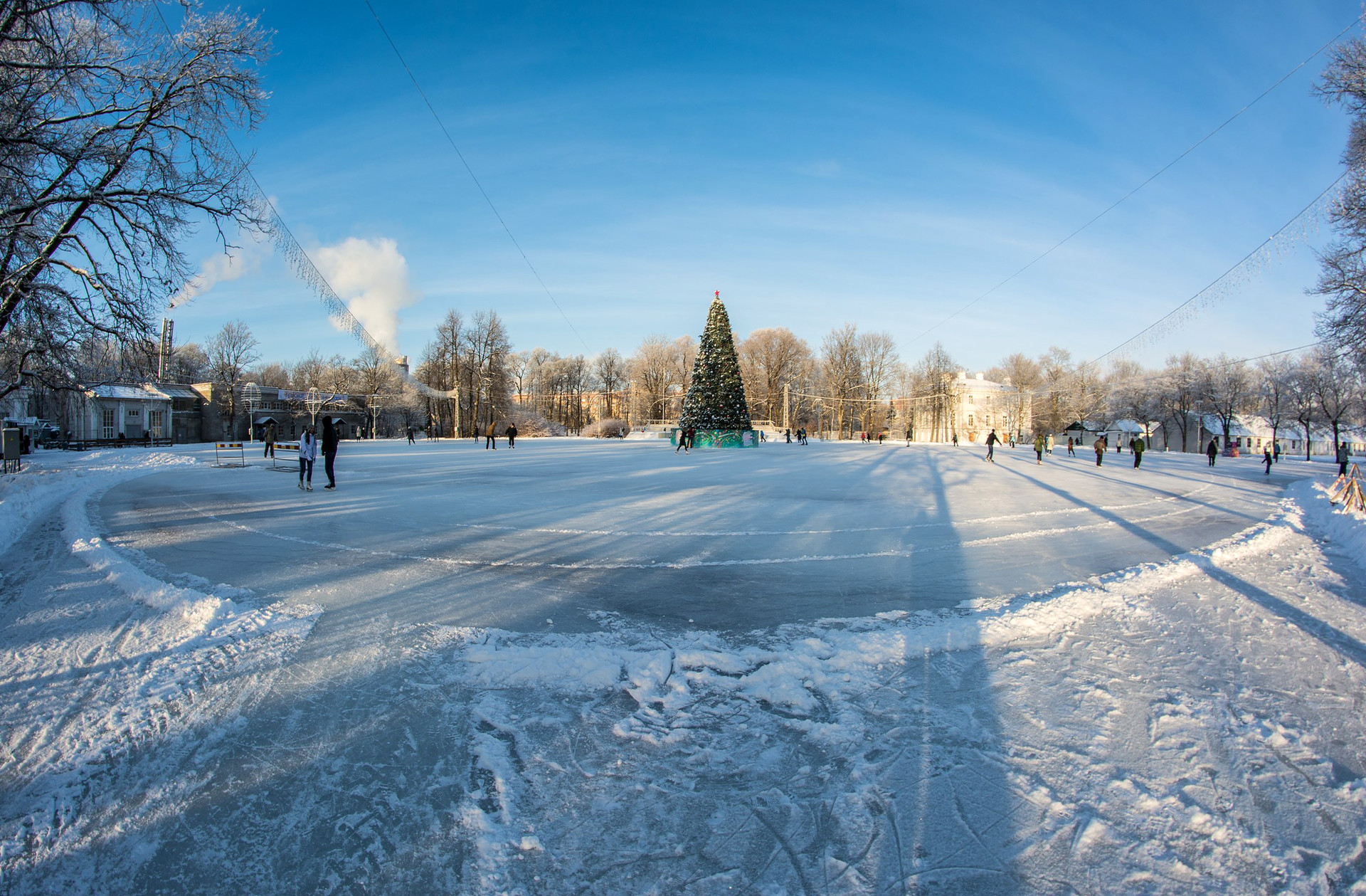 Фото катка зимой