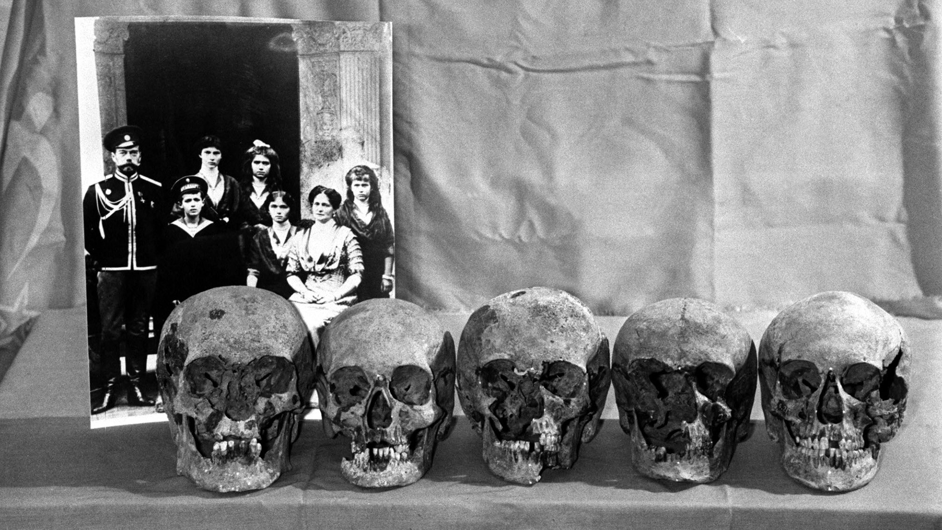 「皇帝一家の」頭蓋骨と推定されるもの。1993年