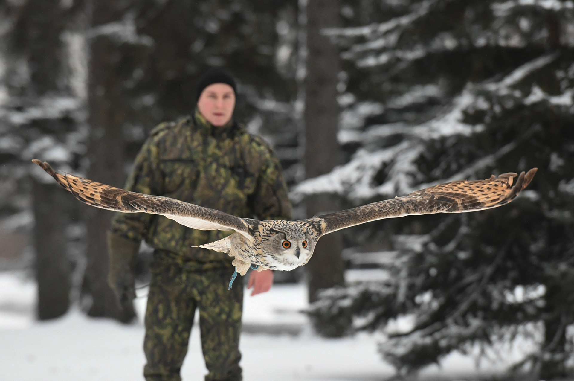 Um dos pássaros a serviço do Kremlin treina com militar. 